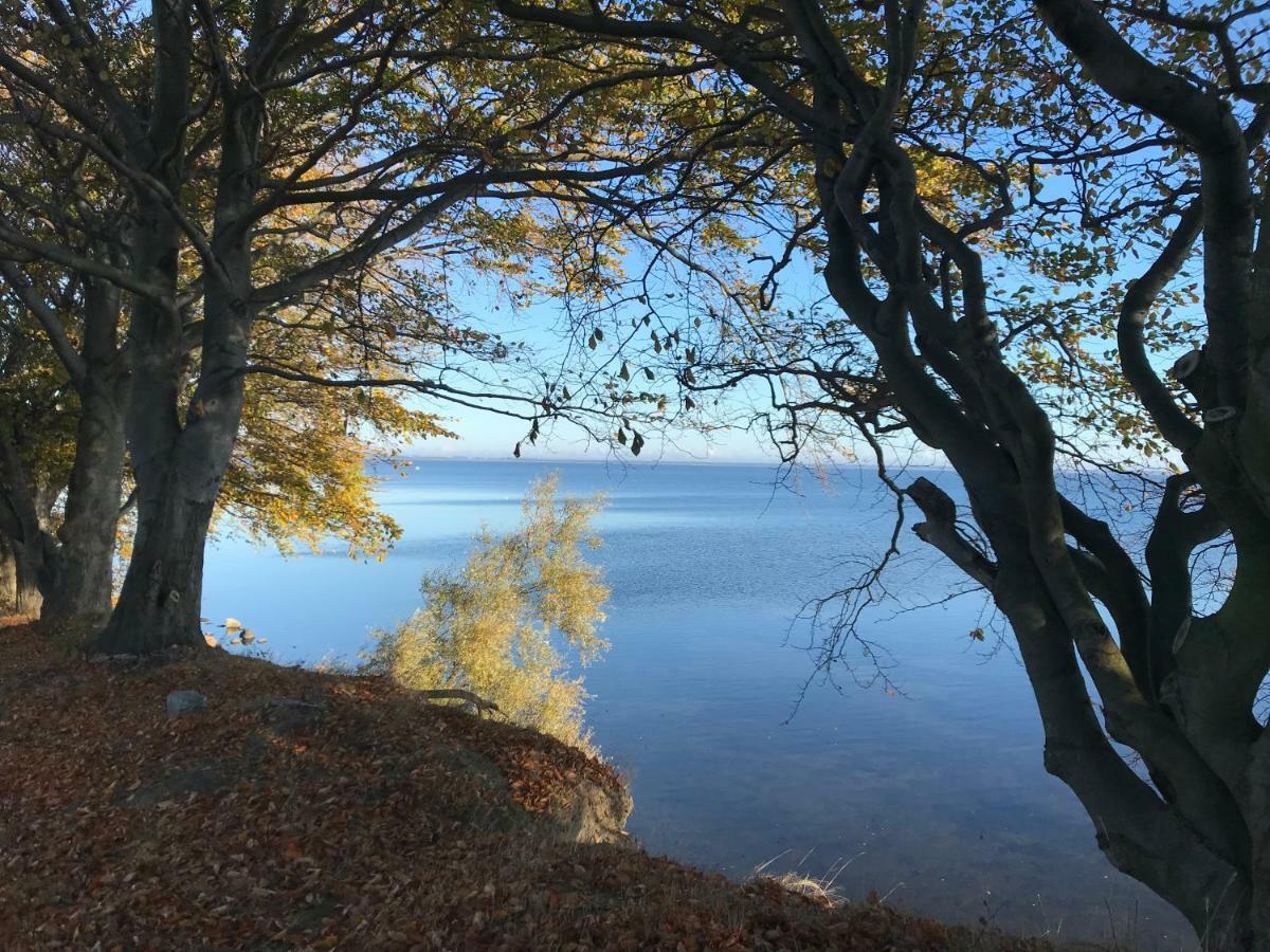 Apartament Stella Maris Leilighet Puck Eksteriør bilde